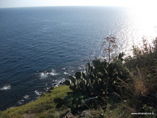 Acque_Grandi - 06-11-2012 09-32-04.JPG